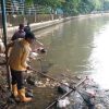 DPUPR optimalkan pengerukan endapan lumpur di saluran air cegah banjir
