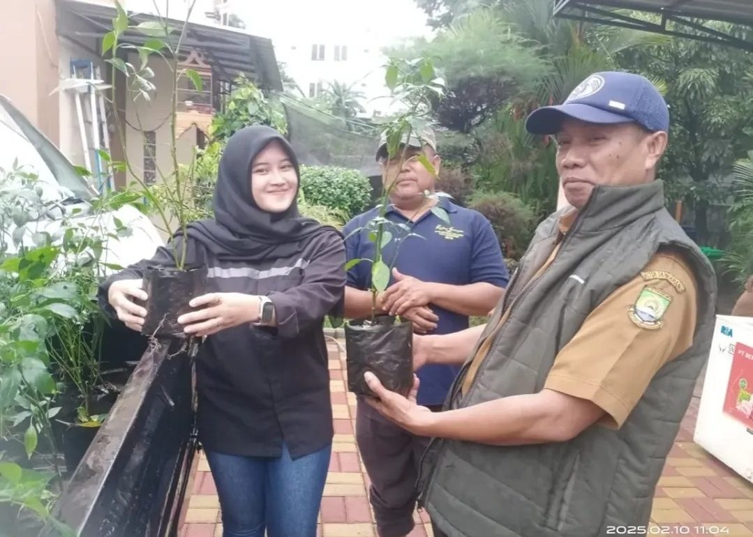 HUT ke-32 Kota Tangerang, DKP Bagikan 2.000 Bibit Cabai Gratis