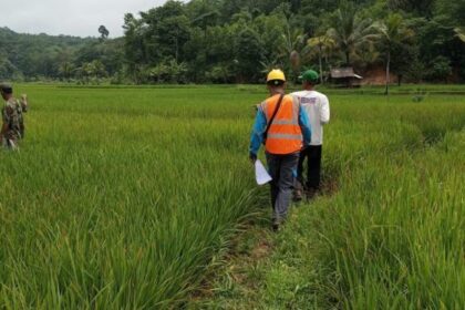 PLN UID Banten Terus Hadirkan Infrastruktur Kelistrikan Handal Ke Wilayah Terpencil